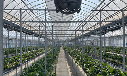 株式会社ヒバリヤ